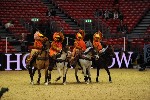 Quadrille - 00101